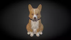 Corgi