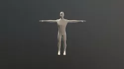 Cuerpo