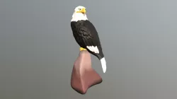 Eagle Model 11