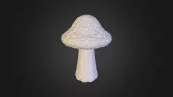 hongos