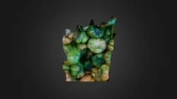 Lens Blur model