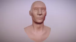Male Bust Sculpt