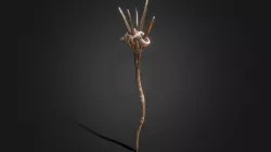 Monk Staff