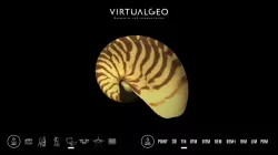 Nautilus
