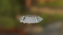 Parque del Paraiso (fragmento)