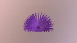 Purple Urchin