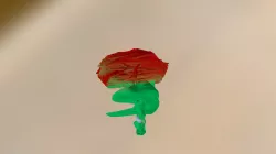 rose