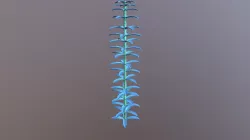Seaweed