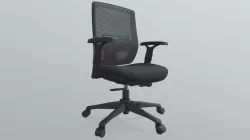 Shrike Chair