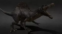 Spino