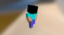 steve1