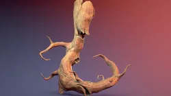 Stylized Tree Monster - LowPoly textured version