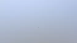 Test24