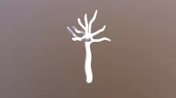 Tree experiment