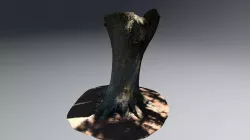 Treetrunk Textured