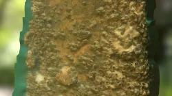 Underwater Piling Test (SfM)