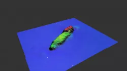 Unknown Shipwreck 423