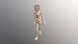 Walking Animation