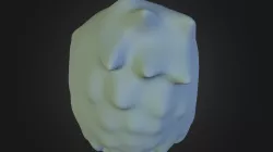 yeti w
