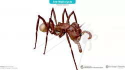 Ant Walk Cycle