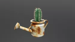 Cactus