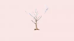 Dead tree standing