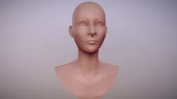 Female Bust Sculpt