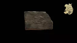 Footprint - Cheirotherium