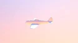 Hammerstein Airplane