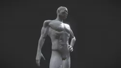 Human Male (GameRes - Statue)