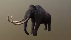Mammoth