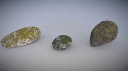 Mossy rock pack