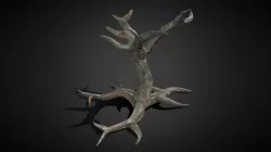 Old Dead Tree