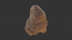 Ostrea