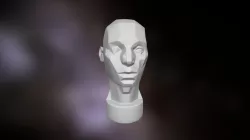 planes of the head Asaro