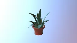 Potted Plant