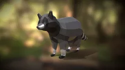 Raccoon