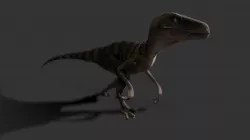 Raptor test