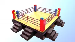 Ring box - fight - pelea
