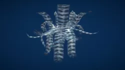Sea Lily. test animation
