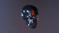 Skull