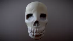 Skull Low-poly