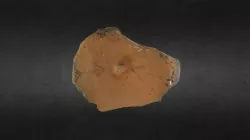 Tapadera de olla