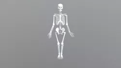 Test22