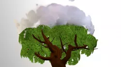 Tree Test22