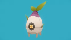 Turnip