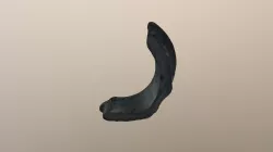 3D Stone