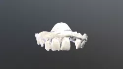 4IMMSUPEROREPOLISHED