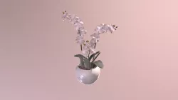A13