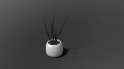A13 - Plant
